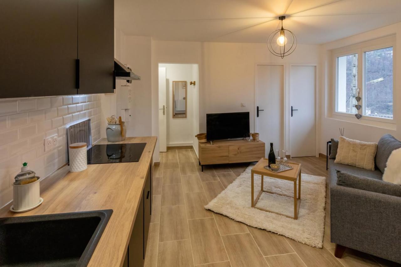 Les Appartements De Clelia Ax-les-Thermes Zewnętrze zdjęcie
